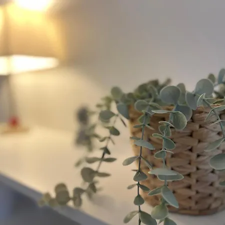 T3 Centre Avec Terrasse + Parking Lejlighed Toulouse