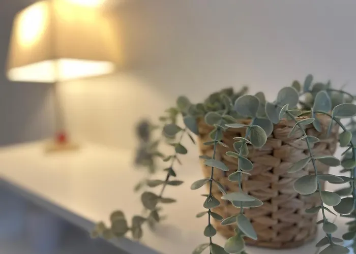 T3 Centre Avec Terrasse + Parking Appartement Toulouse